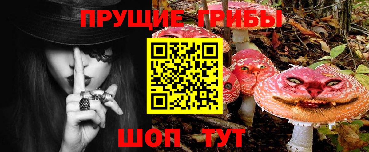 Псилоцибиновые грибы MAGIC MUSHROOMS  Вход с VPN  Галлюциногенные грибы MAGIC MUSHROOMS  Менделеевск 